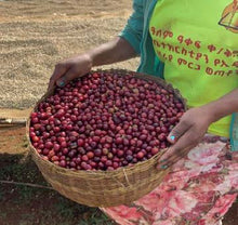 ETHIOPIA Guji Alaka ESPRESSO