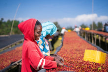 ETHIOPIA Alo Village - Tamiru Tadesse | LIMITED EDITION