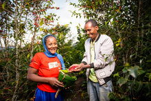 ETHIOPIA Alo Village - Tamiru Tadesse | LIMITED EDITION