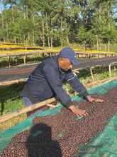 ETHIOPIA Guji Hambela FILTER