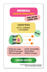 INDONESIA Sumatra Asman Gayo | LIMITED EDITION