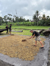 INDONESIA Bali Kintamani Karana ESPRESSO