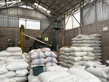 INDONESIA Bali Kintamani Karana ESPRESSO