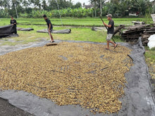 INDONESIA Bali Kintamani Karana ESPRESSO