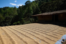 HONDURAS Marcala Community ESPRESSO