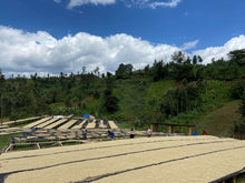 RWANDA Gishamwana Island ESPRESSO