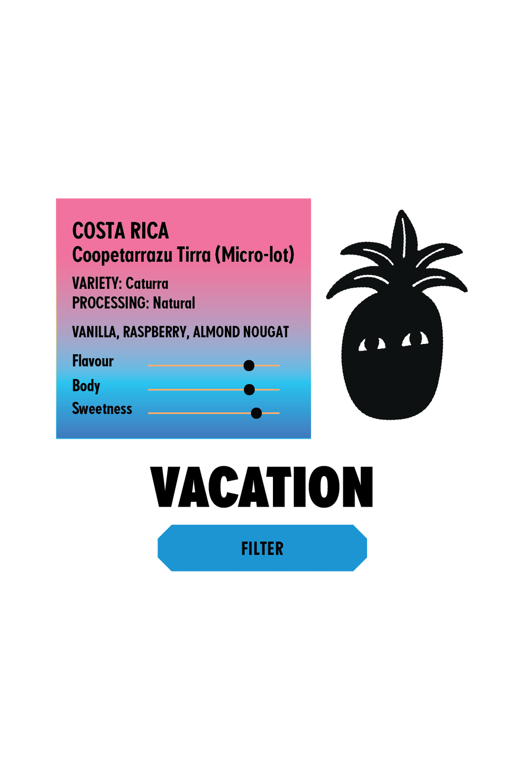 COSTA RICA Coopetarrazu Tirra FILTER