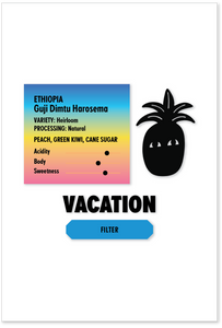 ETHIOPIA Guji Harosema FILTER