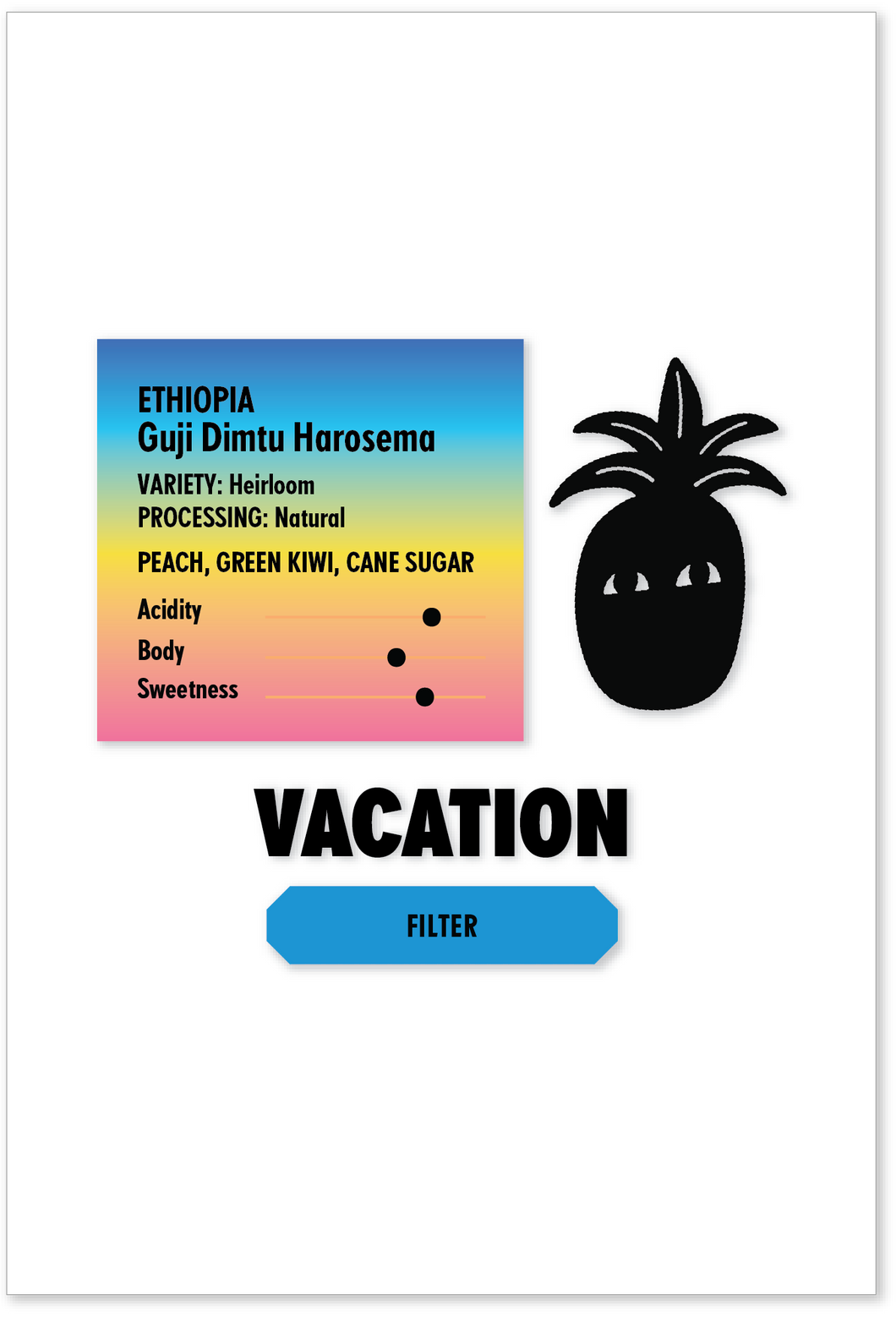 ETHIOPIA Guji Harosema FILTER