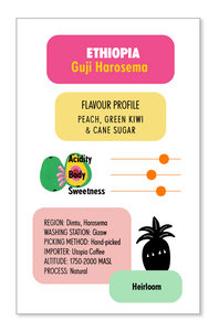 ETHIOPIA Guji Harosema FILTER