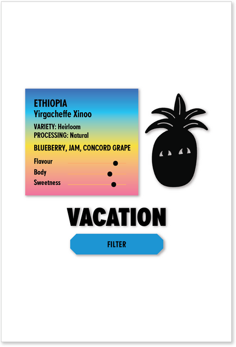 ETHIOPIA Yirgacheffe Xinoo FILTER