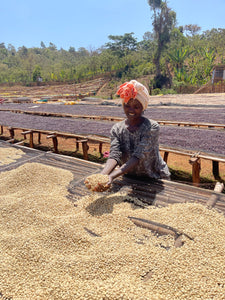 ETHIOPIA Yirgacheffe Xinoo ESPRESSO