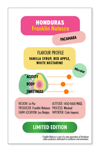 HONDURAS Franklin Nolasco Pacamara | LIMITED EDITION