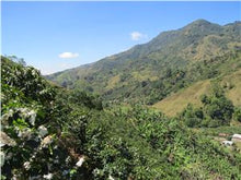 COSTA RICA Coopetarrazu Tirra ESPRESSO