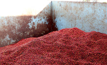 KENYA PB Kirinyaga Machakios FILTER