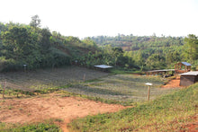 RWANDA Rusizi Mushaka ESPRESSO