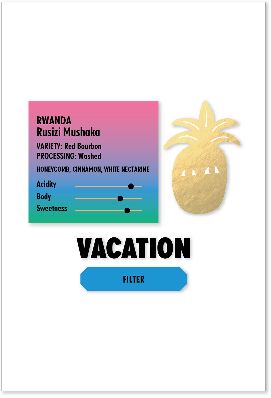 RWANDA Rusizi Mushaka FILTER