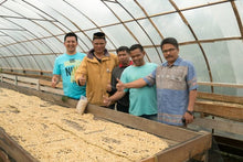 INDONESIA Sumatra Asman Gayo | LIMITED EDITION