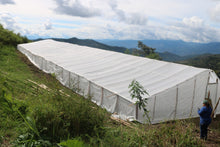 PERU Amazonas Pona Gona FILTER
